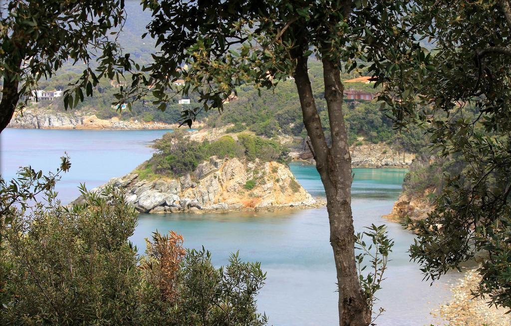 Residence Napoleon By Helloelba Procchio  Εξωτερικό φωτογραφία